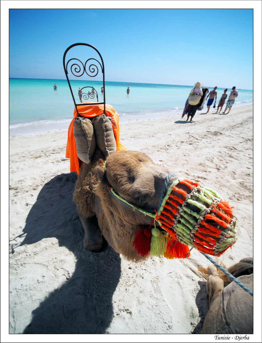 2018 - 05 - Djerba - 41
